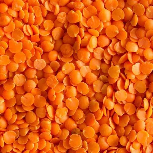 Red Lentil